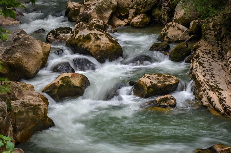 Love comforeth like sunshine after rain,But Lust's effect is tempest... (Nahr Ibrahim, Mont-Liban, Lebanon)