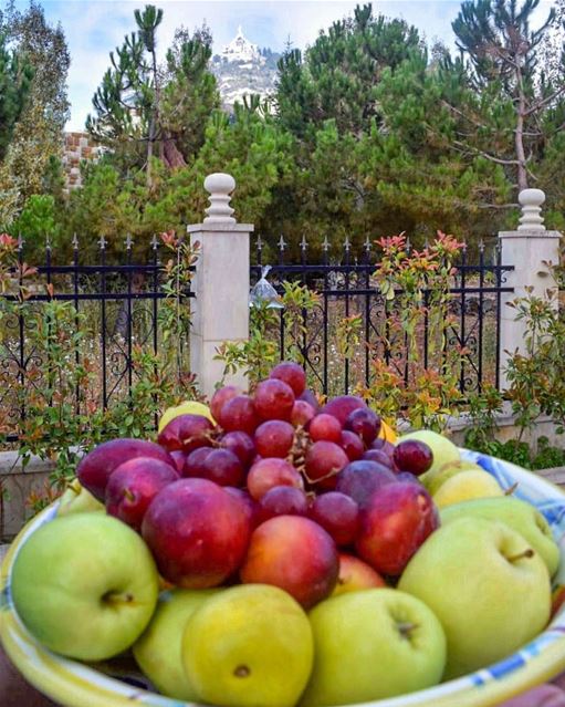  Love is a fruit in season at all times, and within the reach of every... (Ehden, Lebanon)