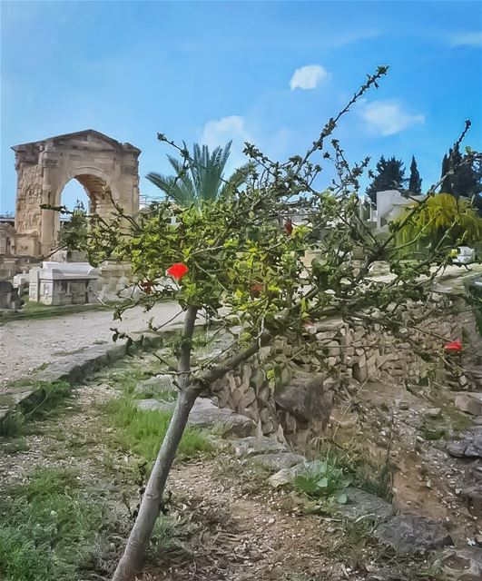 Love is the poetry of the senses - Honore de Balzac ... (Roman ruins in Tyre)