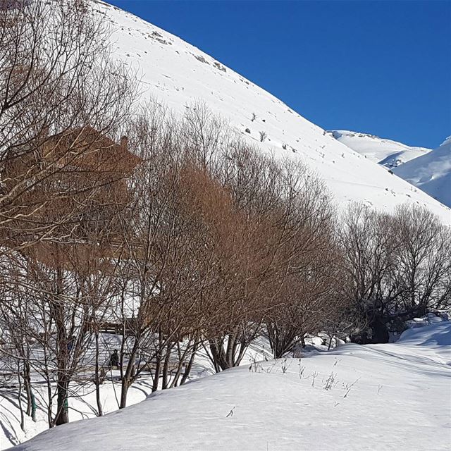 Love it....like in a dream  snowing  landscape  landscapephotography ... (Faraya, Mont-Liban, Lebanon)