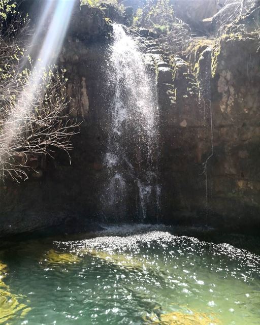 Love the sun  glistening on the water...  lake  nature  naturalpool ...