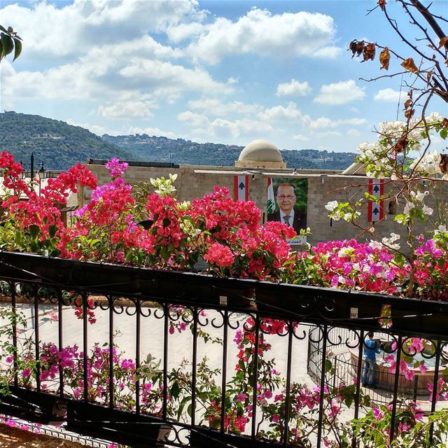Love these bougainvilleas. flowersofinstagram  landscapingdesign ... (Dayr Al Qamar, Mont-Liban, Lebanon)