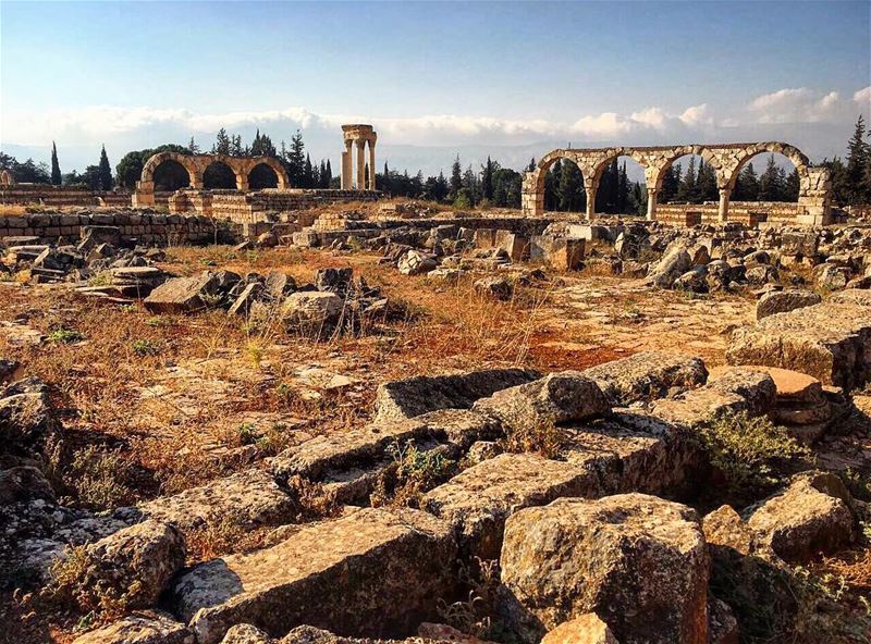 Love this shot of my super fun day discovering the Ummayad ruins of ... (`Anjar, Béqaa, Lebanon)