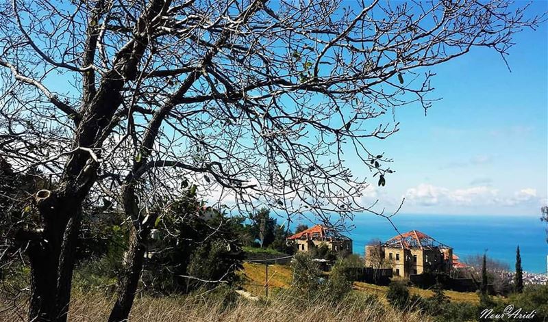 Love will die, if held too tightlyLove will fly, if held too lightly..... (Aïnâb, Mont-Liban, Lebanon)