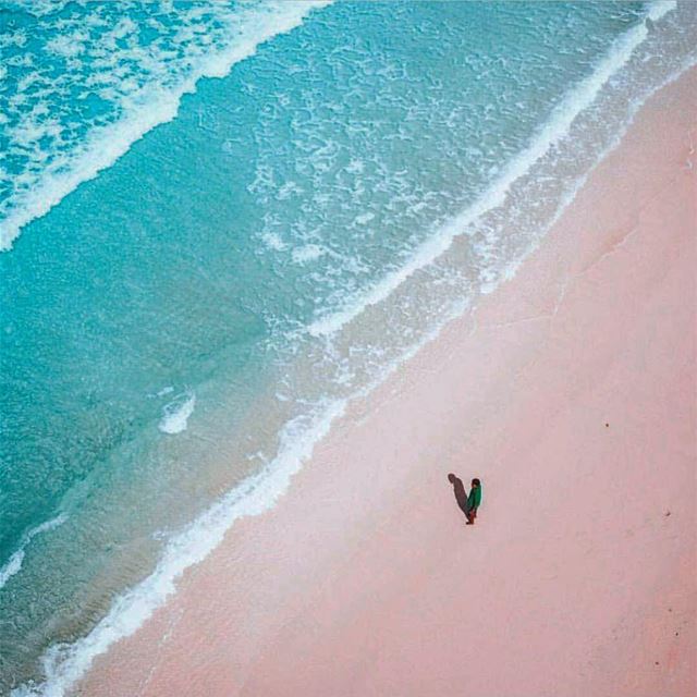 🌊Love you to the beach and... (Pangea Beach Resort)