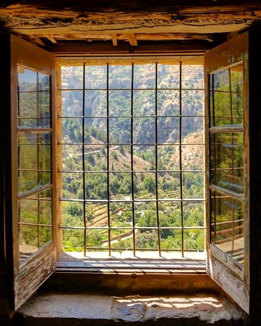 Lovely prison 🇱🇧. window  valley  greenery  windowview ... (Ouâdi Qannoûbîne, Liban-Nord, Lebanon)
