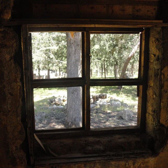 loves_abandoned abandonnedplace abandoned deserted housewindows_aroundtheworld forestarchitecture treesgarden