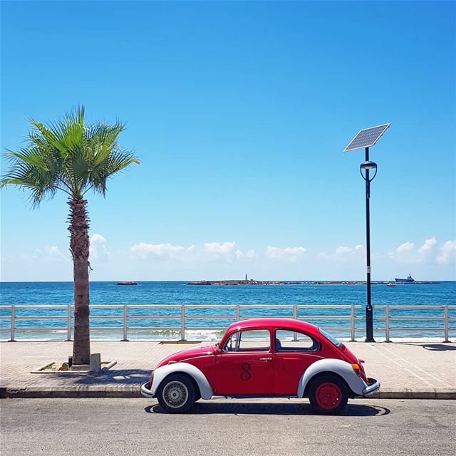 Lucky  8 🌴 (Saïda, Al Janub, Lebanon)