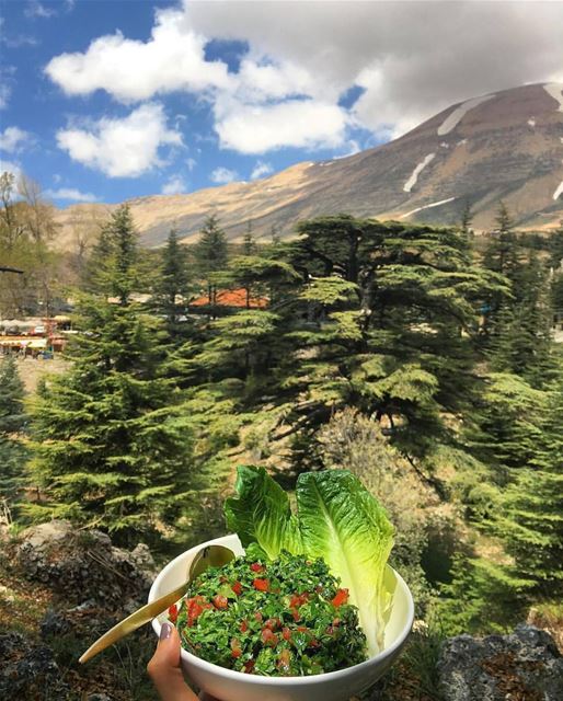 Lunch with a view 🌲🥗🌲 photo by @manal.massoud 💚🥗💚  meetlebanon ... (Cedars of God)