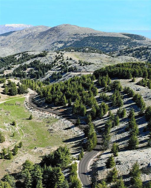 • M Y  P A R A D I S E • luna_drone  drone  mavicair  wallpaper  nature ... (Al Shouf Cedar Nature Reserve)