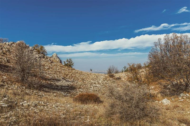 Maaser el Chouf, Lebanon__________________________________________... (Riserva naturale dei cedri dello Shuf)