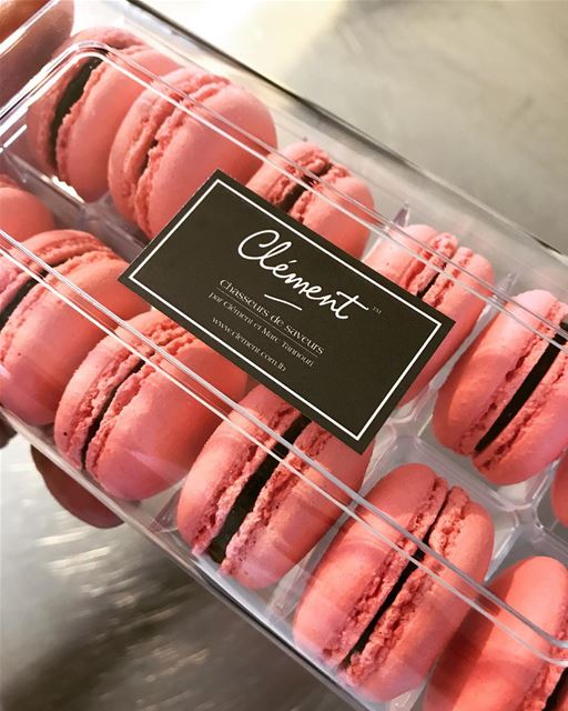 Macarons Framboises 😋😋  livelovefood  livelovebeirut  yummylebanon ...