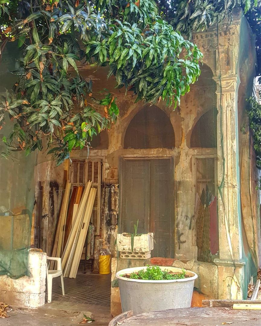 Magic in desolation  hiddenbeirut .......... Lebanon  beirut ... (Furn Shebak, Beyrouth, Lebanon)