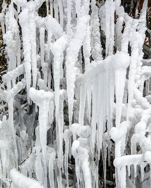 .Magical Frozen nature !! | High in the lebanese mountains after the... (Ain Dara, Lebanon)