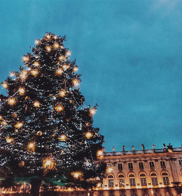 Magical Place Stanislas 🎄💫  traveltheworld .. paris  parismonamour ... (Place Stanislas)