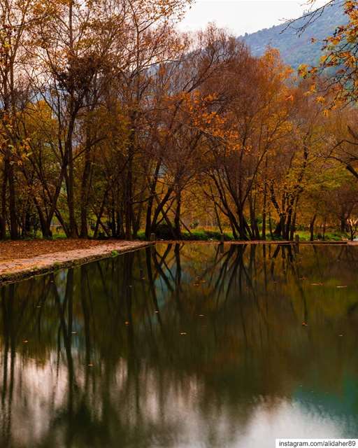 Magical season 🍁🍂....... landscapephotography naturephotography... (Akkar)