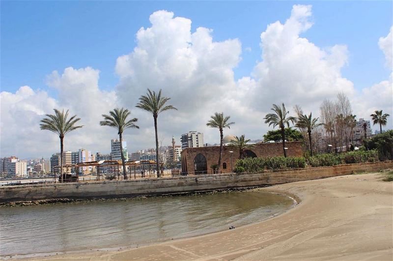  magicalview  palmtrees  springclouds  seashore  saida  lebanon ... (Saïda, Al Janub, Lebanon)