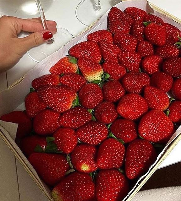  magiccolor  delcious red  love_natura  whatsuplebanon  livelovebeirut ...