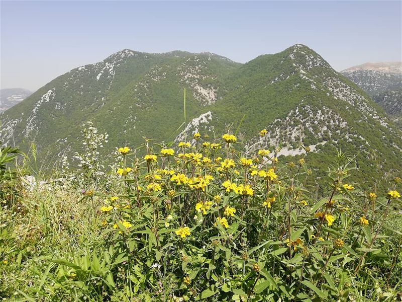 Make a difference...Happy Earth Day! JabalMoussa  unescomab  unesco ...