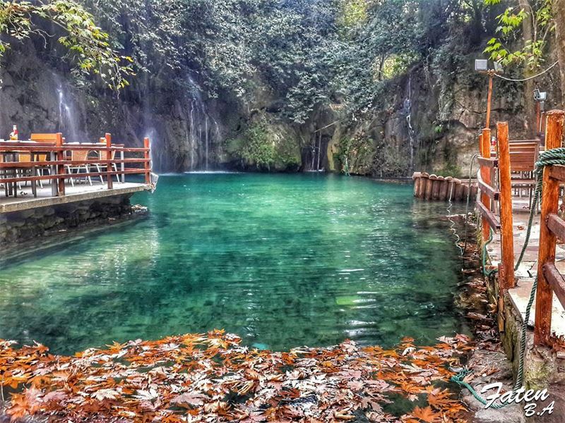 . Make it a DECEMBER to REMEMBER!... (Baakline, Mont-Liban, Lebanon)