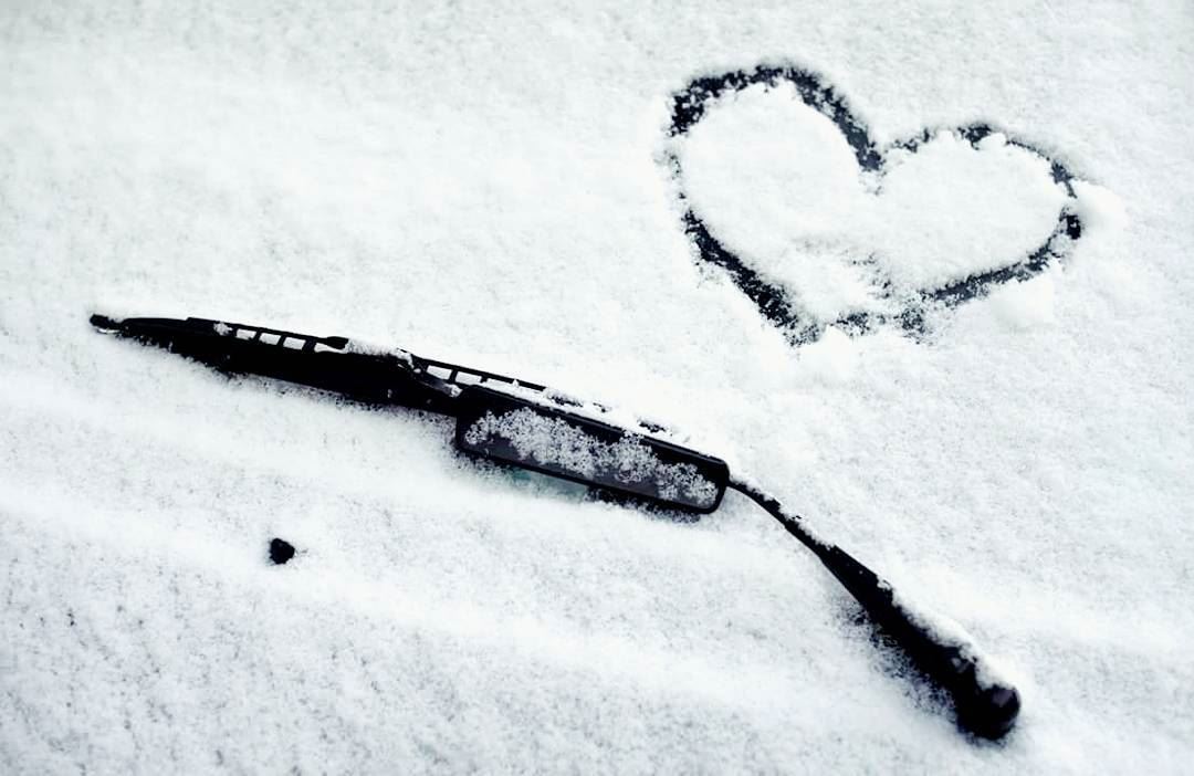 Make love... Not war (AFP) ❤❄  winter  winter2017  wintertime  snow  heart...