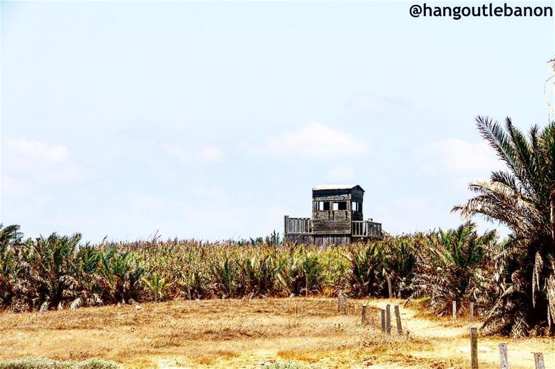 Make sure to have  Rabbitsisland on your summer trips schedule. Also known... (Rabbits Island- El Mina.)