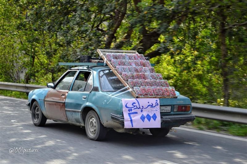 Make way for the "strawberry mobile". 🍓🍓Only in Lebanon!!...... (Lebanon)