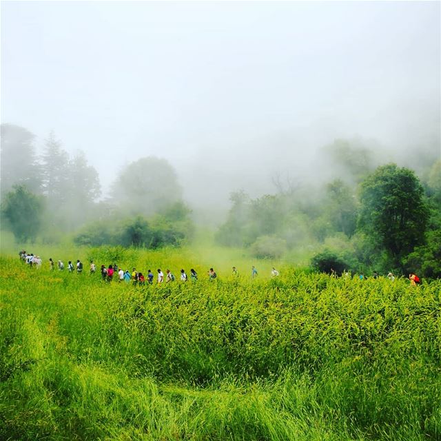 Make your dreams come true....🌲🌲🌲🌲🌲🌲🌲🌲🌲🌲🌲Photo credit @camill (Horsh Ehden)