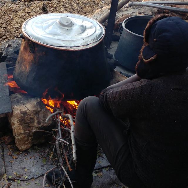 Making yogurt with milk from the cows beside her; then cheese.  farming ... (Beqaa Governorate)