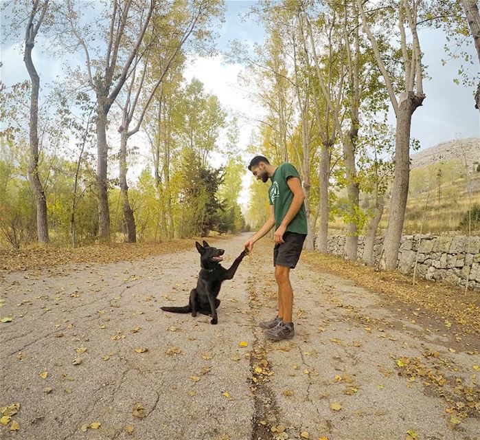 Man's Best Friend 🐶🍂🍃 (El Laklouk, Mont-Liban, Lebanon)