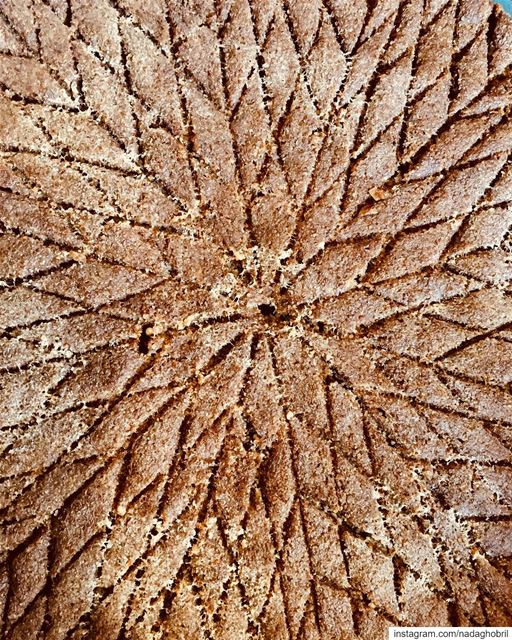 Mandala Kebbeh 😀  lunch  lebanese  food  kebbehbelsaynieh  mandala ... (ضهر الصوان)