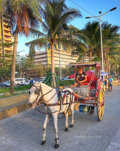 Manila Corniche 🐎 • 😁 •   ig_today  ig_eurasia  igersphilippines ... (Manila, Philippines)