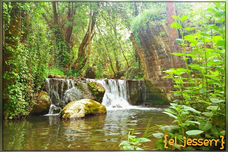 〰..Many small streams make a big river..〰📷Taken by @zeina.dargham 🎀... (Deir Doureet, Mont-Liban, Lebanon)