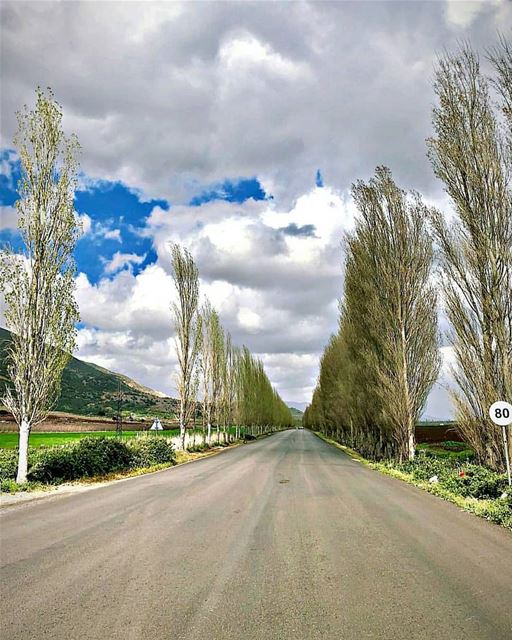 Map out your future - but do it in pencil. The road ahead is as long as... (`Ammiq, Béqaa, Lebanon)