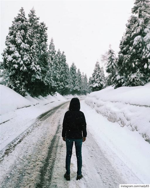 March's Spring time!! . ...  lebanon snow  ski  instagood  road ...