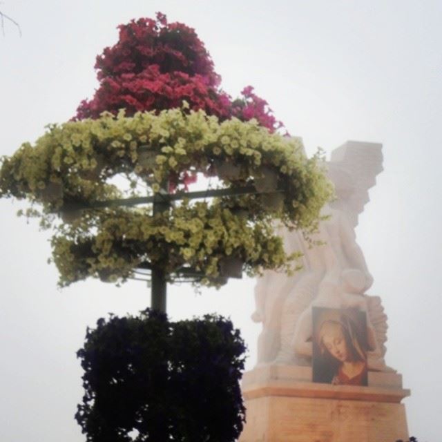 marché de fleurs flowers fog instagardenlovers