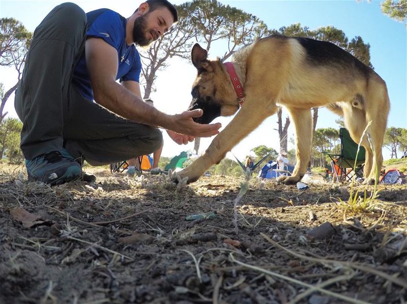 🐶 (Marj Biskinta, Mont-Liban, Lebanon)