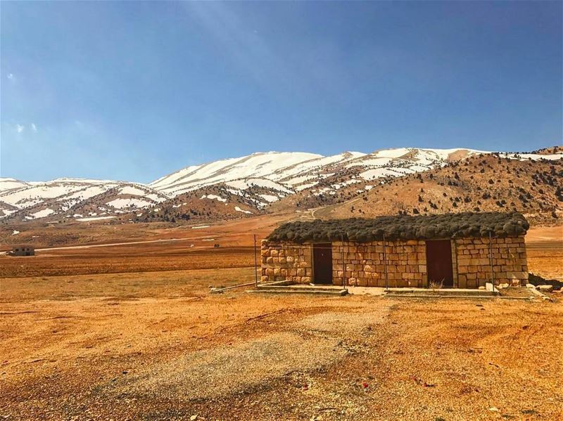  Marjheen by @hassantabikh   hermel  lebanon  spring  our  treasure  bekaa... (El Hermel, Béqaa, Lebanon)