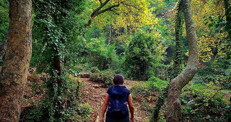 "Maturity is when you stop making excuses and start making changes."••... (Ouâdi Qannoûbîne, Liban-Nord, Lebanon)