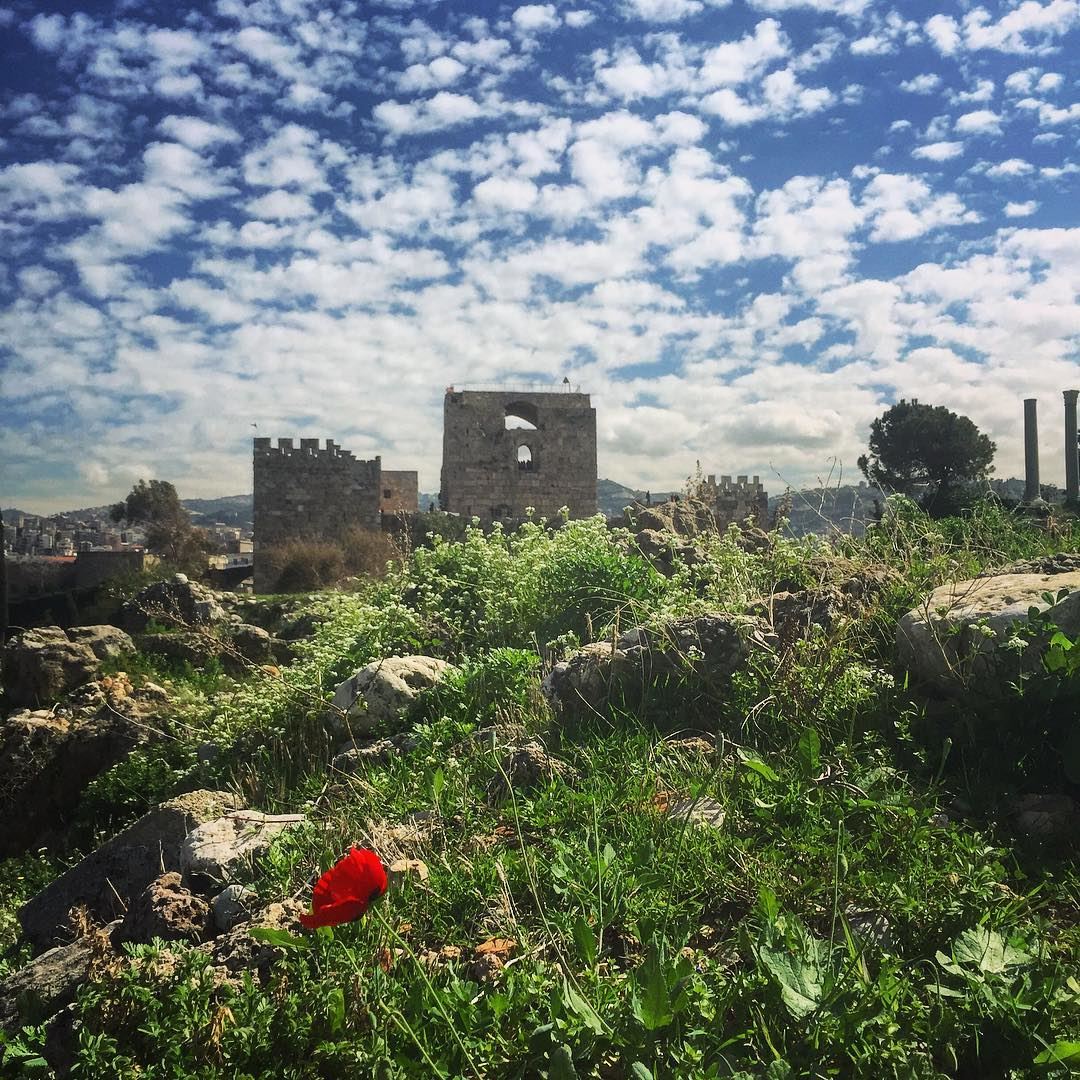 May every day be as hopeful as the beginning of spring & as blessed as... (Byblos, Lebanon)