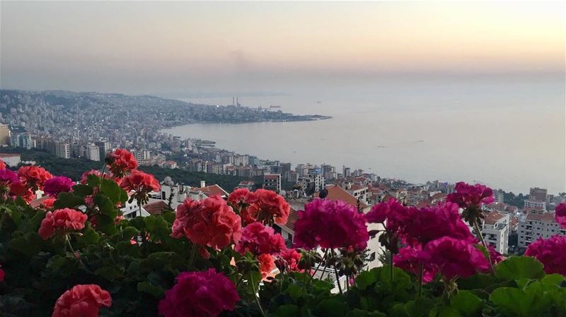 May every sunset bring you peace. magical view nature naturelovers photo... (Ghazir, Mont-Liban, Lebanon)