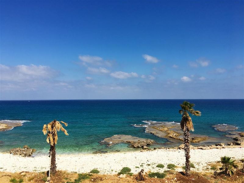 May you never be too busy to stop and breathe under a palm tree 🌴.... (Tyre, Lebanon)