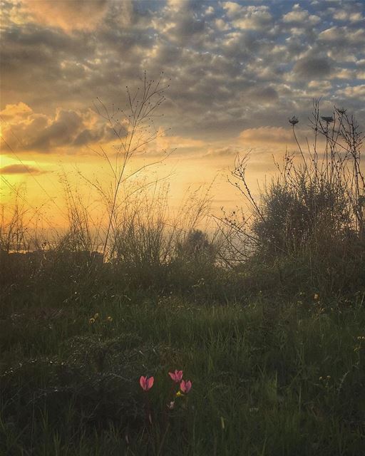 May your every Sunday Sunset carry all the beautiful memories from the... (Bsalim, Mont-Liban, Lebanon)