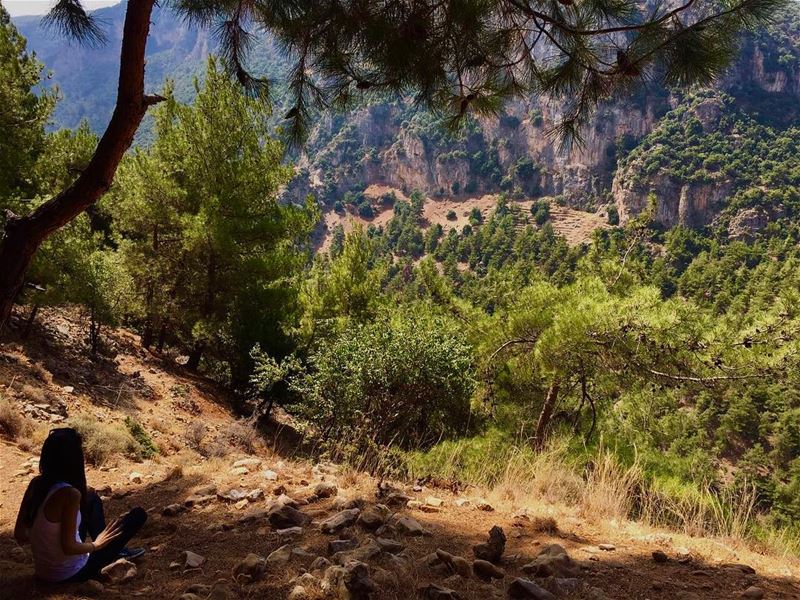 May your weekend sparkle✨... (Ouâdi Qannoûbîne, Liban-Nord, Lebanon)