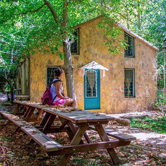 @mayaelkik In Wonderland 🍃 🌍  Sorry @nourinwonderland 🙈  earthofficial... (El-Mukhtarah, Mont-Liban, Lebanon)