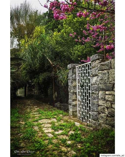 Maybe God closed a  door for you to stay on the same  road  gate  road ... (Beithabbak)