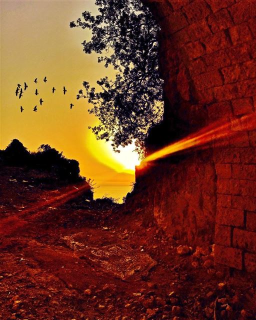 “ Maybe That’s Our Main Problem,We Give Our Hearts To Broken Souls And Try... (Chekka)