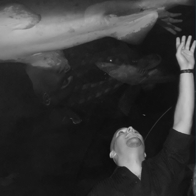 Me with the  Sharks in the KLCC aquarium of Kuala Lumpur, Malaysia.... ...