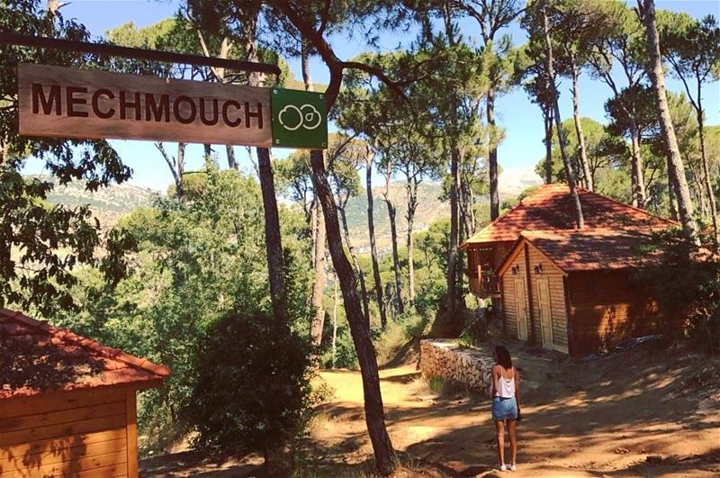 MECHMOUCH 🍑🏡 Photo Credits go to @jixooo 📸👌 LaMaisonDeLaForet  Nature...