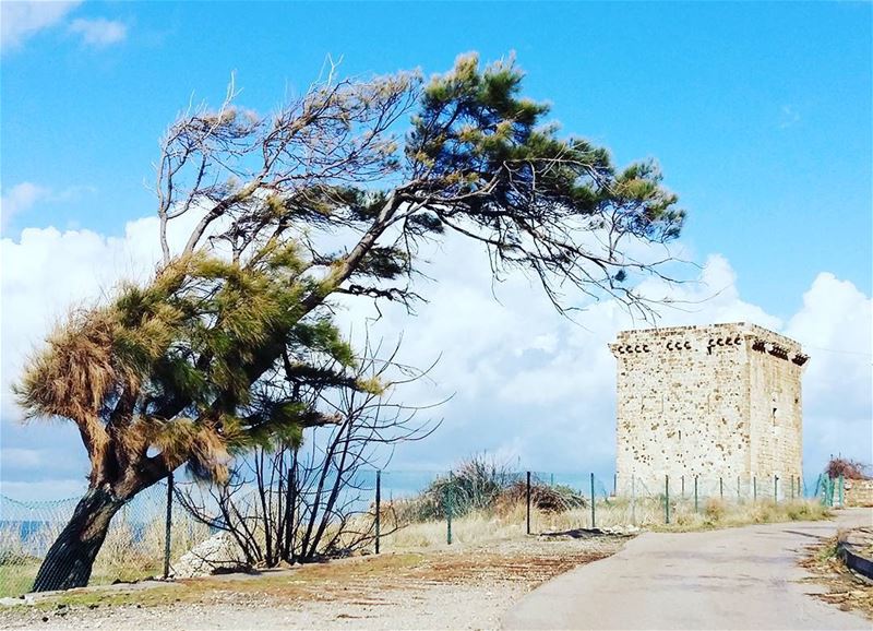  medievale  tower  fidar  lebanon  livelovelebanon  lebanon  naturelovers ...